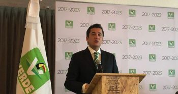 partido verde sin alianzas