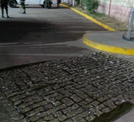 dosis drogas valparaiso zacatecas