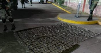 dosis drogas valparaiso zacatecas