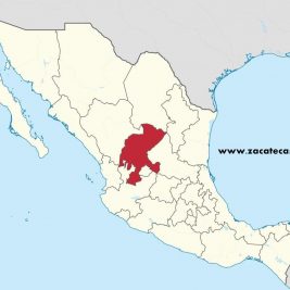 semáforo rojo zacatecas noviembre 2020