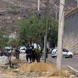 taxista asesinado zacatecas
