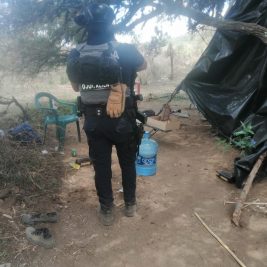 narco campamento zacatecas